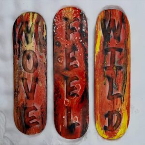 Skate art 1600,- pr stk. Skriv hvilken titel du ønsker